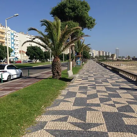 Figueira Buarcos